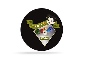 Planty co to